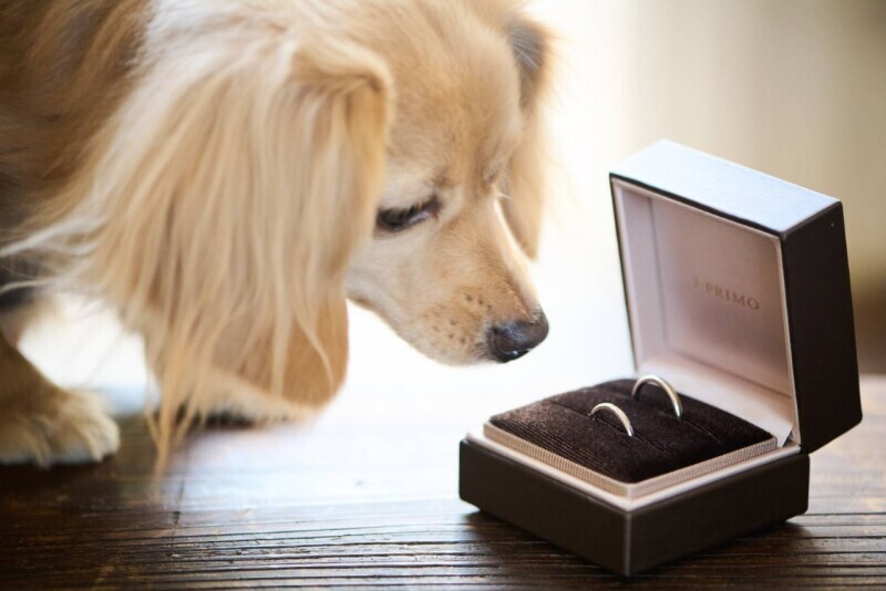 サロンドパルール　salon de parure_投稿写真