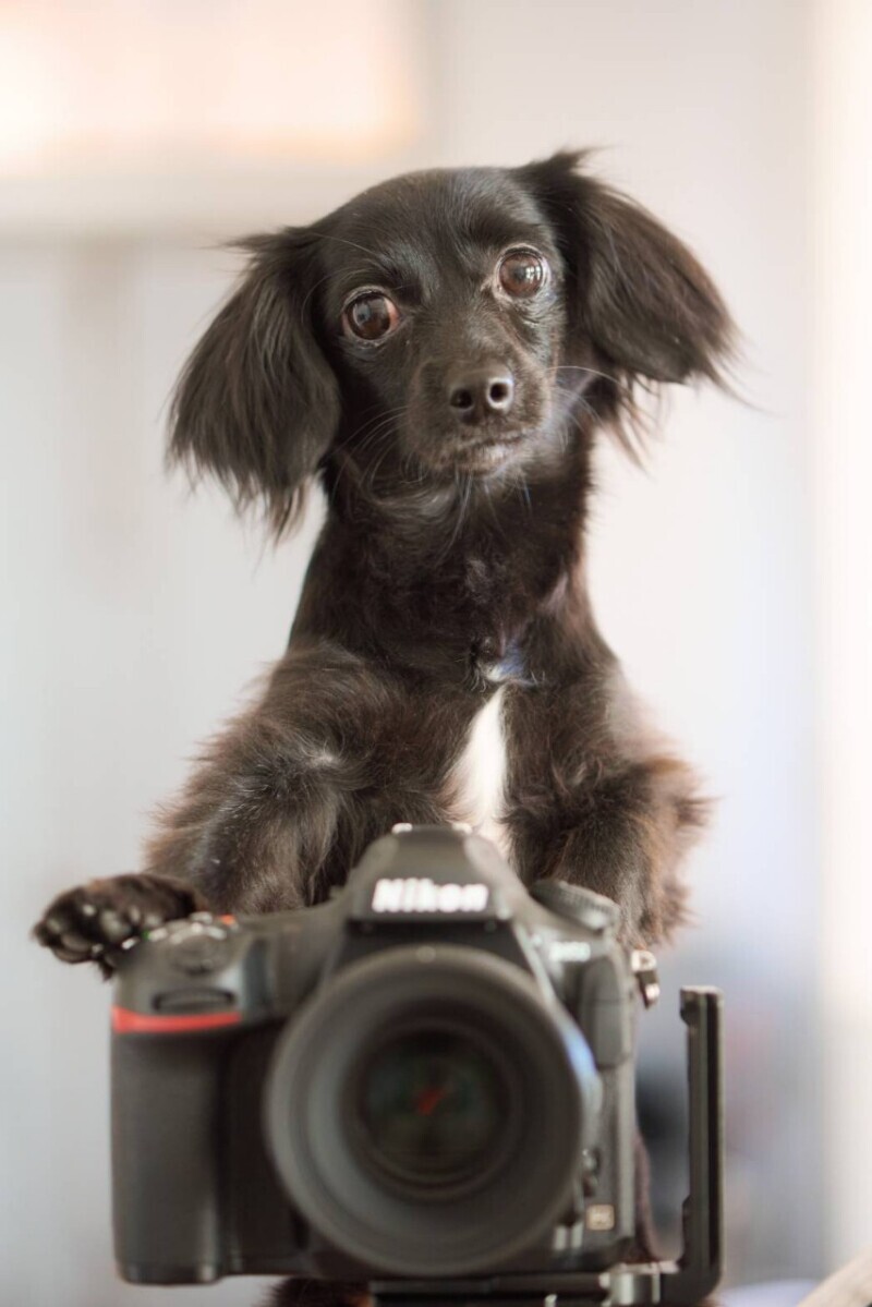 サロンドパルール　salon de parure_投稿写真