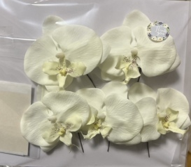 BLANZ（ブランズ）心斎橋_アドバイス写真