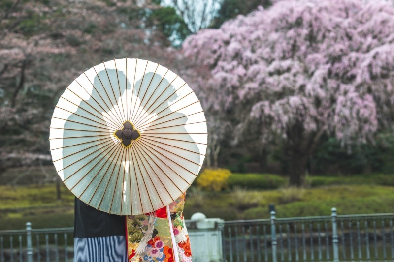 華雅苑　宇都宮店_投稿写真