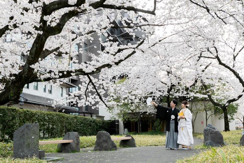 桜が綺麗な庭園撮影が可能です！スタッフの対応も大満足_22179_投稿写真_2