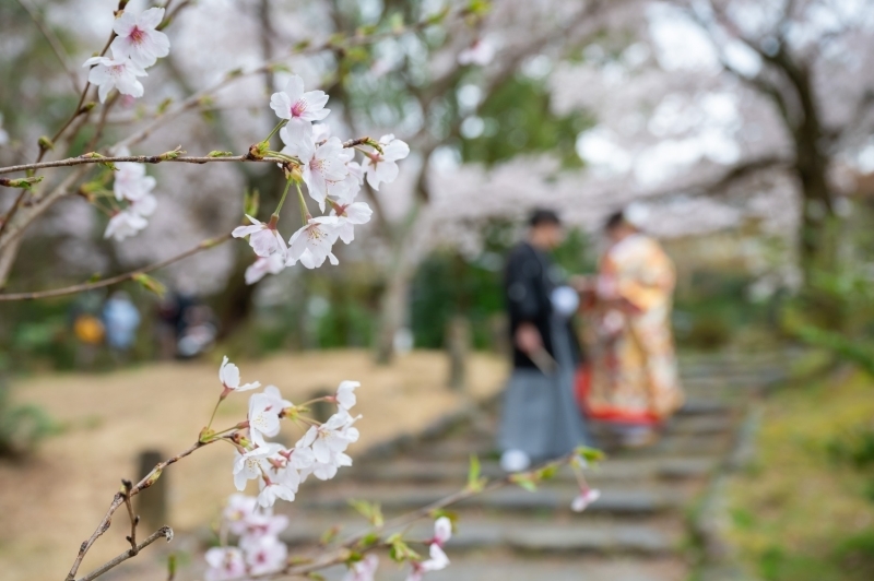 古都photo_投稿写真