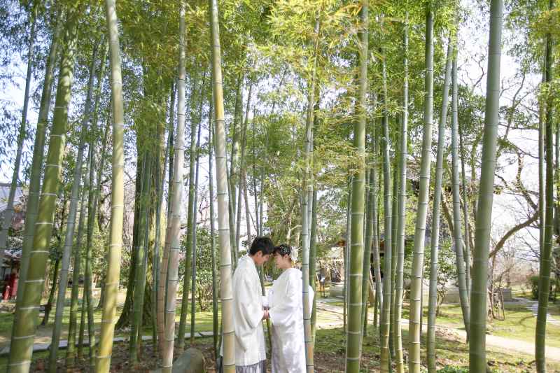 夢が叶うフォト_22410_投稿写真_1