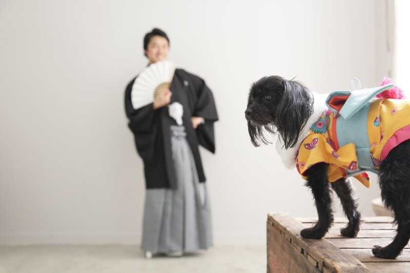 ワタベウェディング表参道フラッグシップフォトスタジオ_投稿写真