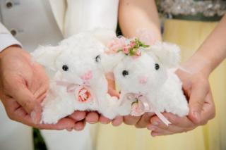 STUDIO LOGiC 大阪本町店_アドバイス写真