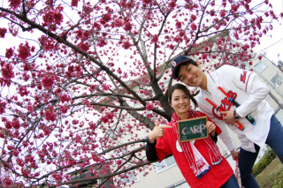 スマイルハンター_アドバイス写真