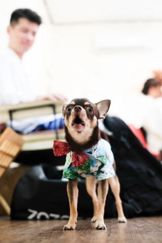 Photo Ciel Bleu_アドバイス写真