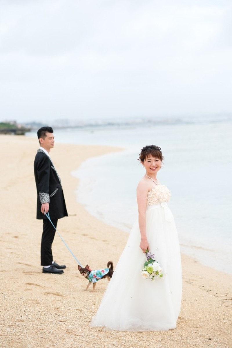 Photo Ciel Bleu_投稿写真