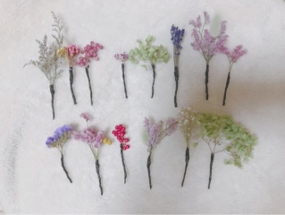 Photo Ciel Bleu_アドバイス写真