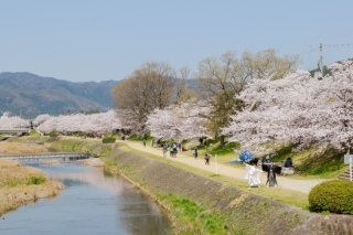 スマイルハンター_アドバイス写真