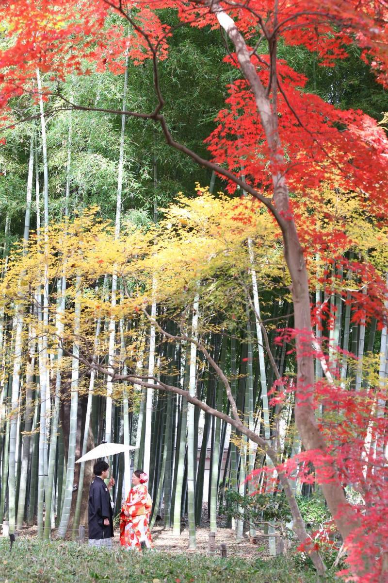 エフェット_投稿写真