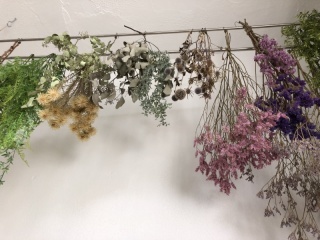 photo studio ouchi_アドバイス写真