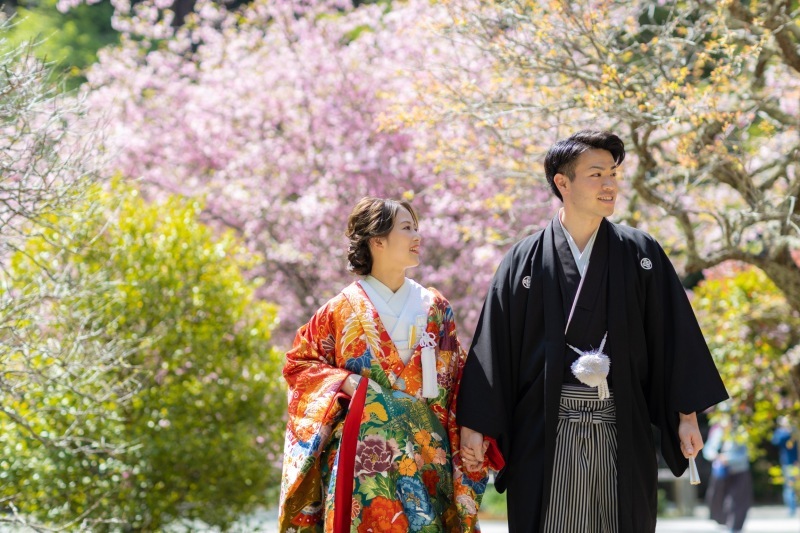 華雅苑　鎌倉店_投稿写真