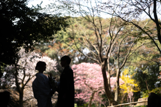 Vivid_アドバイス写真