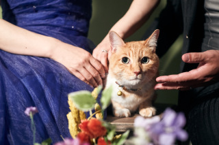 ラヴィファクトリー福岡店_アドバイス写真