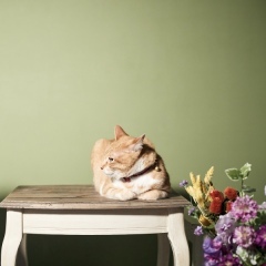 ラヴィファクトリー福岡店_アドバイス写真