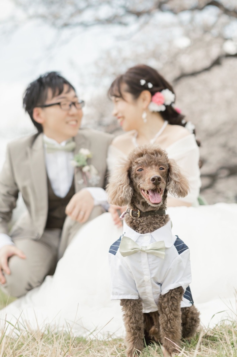 ONESTYLE 横浜_投稿写真