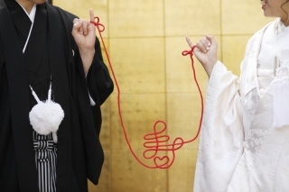 DRESSING NEST_アドバイス写真