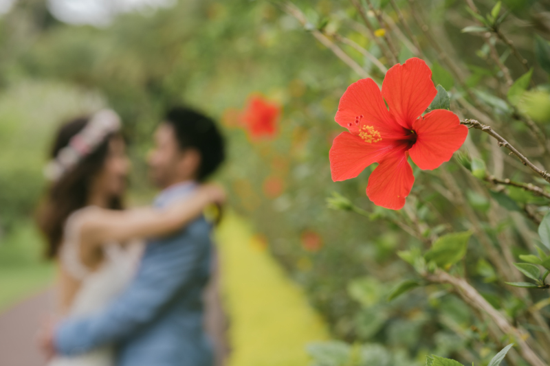 MARC Photo Factory 沖縄(マークフォトファクトリーオキナワ)_投稿写真