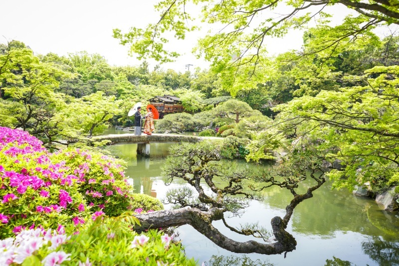 フォトスタジオ　ブライズメイド_投稿写真