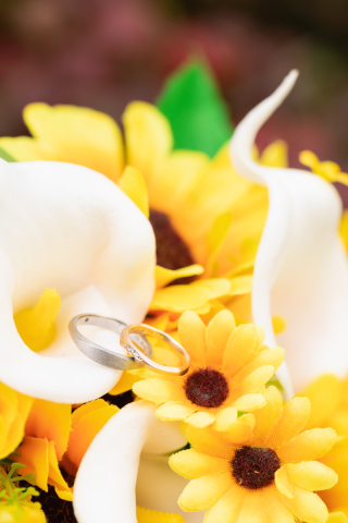 スタジオコンフェッティ_アドバイス写真