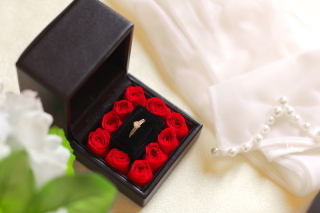 ウエディングファンタジア【ローズ】_アドバイス写真