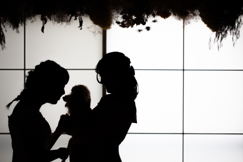 Photo Jellish　横浜（フォトジェリッシュ横浜）_投稿写真