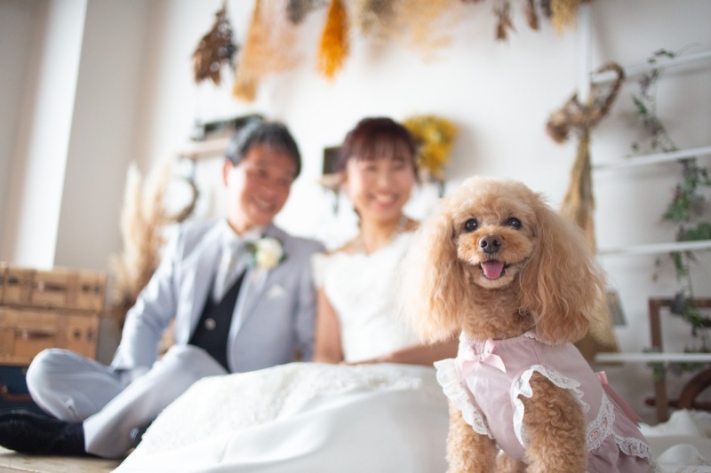 Photo Jellish　横浜（フォトジェリッシュ横浜）_投稿写真