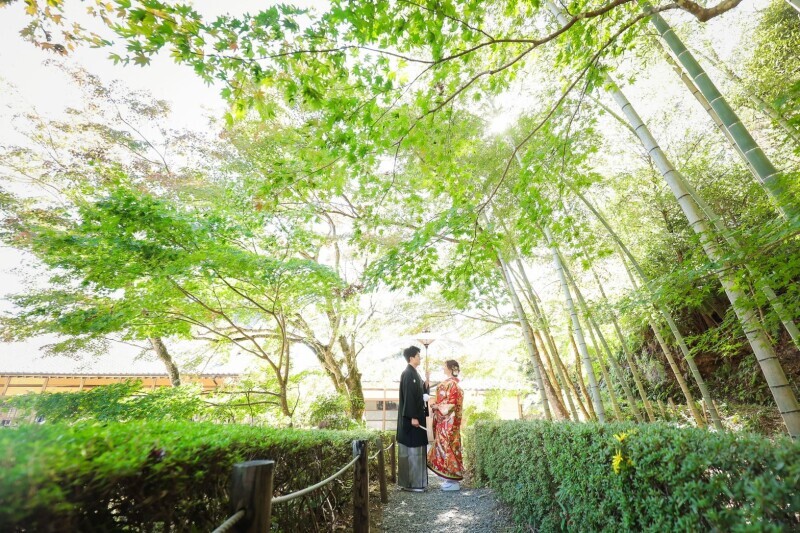 和装にぴったりの緑たっぷり超自然の庭園撮影が可能！_32576_投稿写真_2