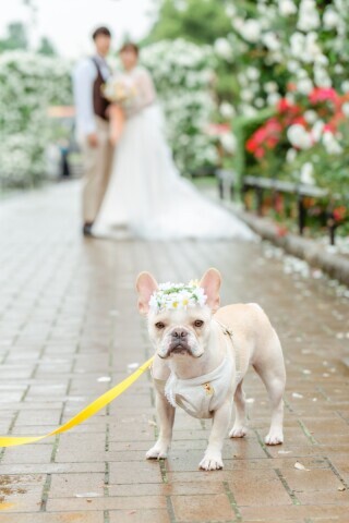 Photo Jellish　横浜（フォトジェリッシュ横浜）_アドバイス写真