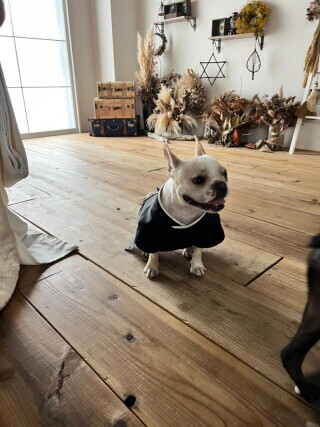 Photo Jellish　横浜（フォトジェリッシュ横浜）_アドバイス写真