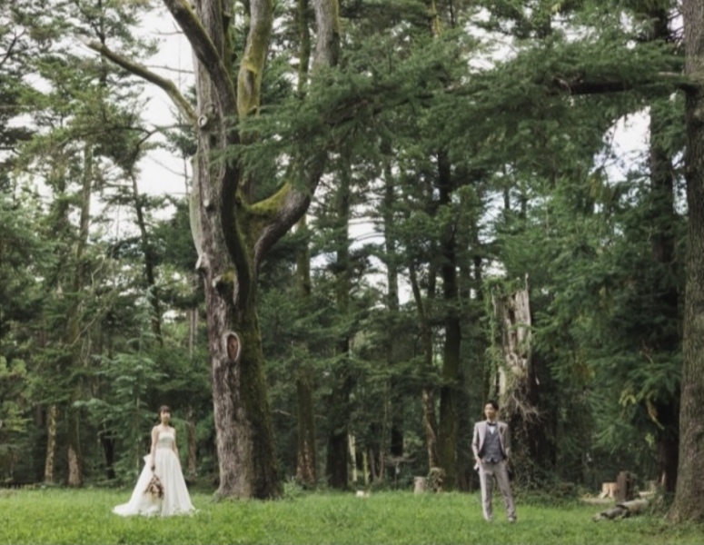 ENISHI PHOTO WEDDING_投稿写真