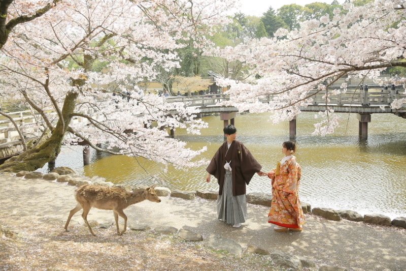 STUDIO TVB 奈良店（スタジオTVB）_投稿写真