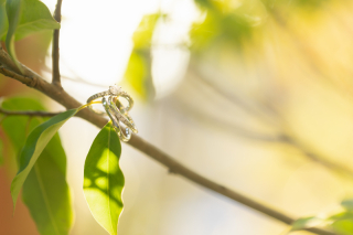 スタジオコンフェッティ_アドバイス写真