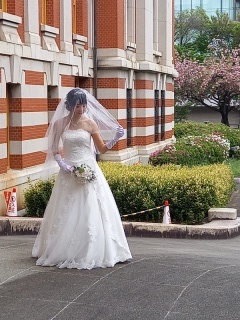 Vivid_アドバイス写真