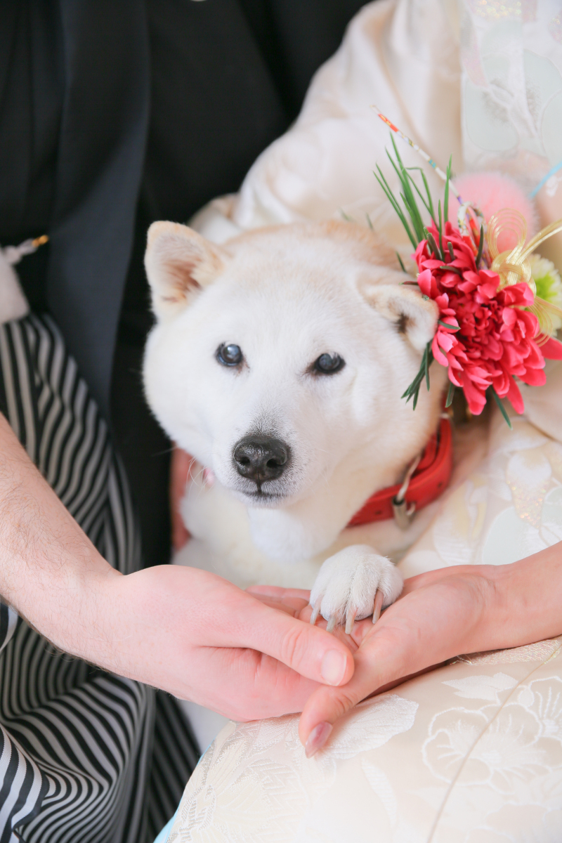 STUDIO 8 名古屋店（スタジオ8）_投稿写真