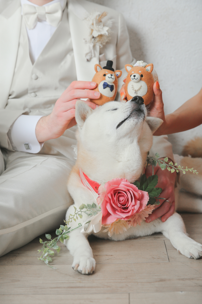 STUDIO 8 名古屋店（スタジオ8）_投稿写真