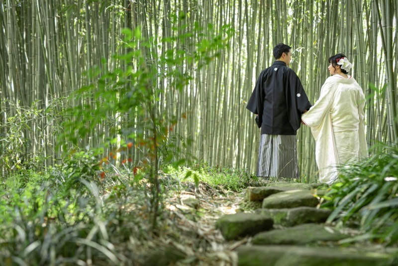 京都 あざらし堂 ー写真部ー_投稿写真