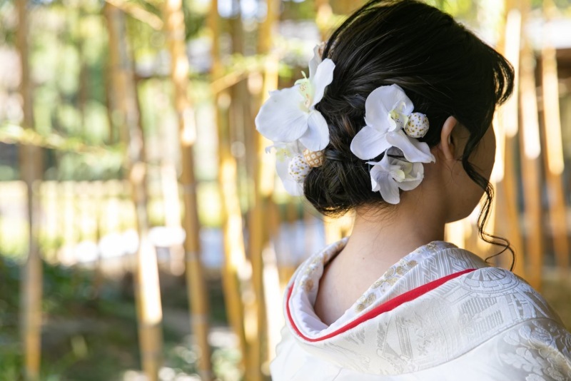 京都 あざらし堂 ー写真部ー_投稿写真