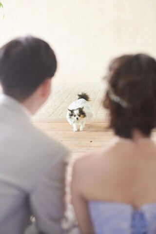 サロンドパルール　salon de parure_アドバイス写真