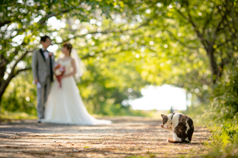 ラヴィファクトリー松山店_投稿写真