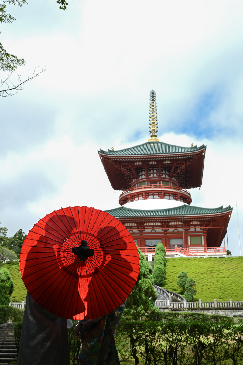 柔らかくて優しい雰囲気の写真がお好きな方におすすめのスタジオ_27228_投稿写真_1