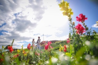 フォトスタジオ　ブライズメイド_アドバイス写真