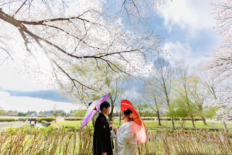 Dream-Wall 小山_投稿写真