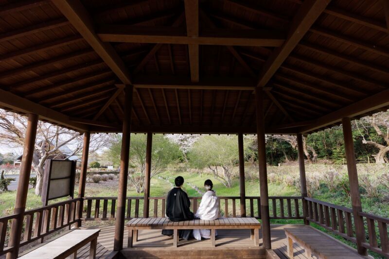 Dream-Wall 小山_投稿写真