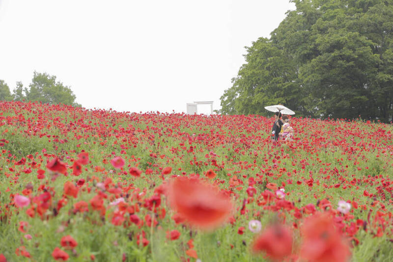 STUDIO AQUA 新宿店（スタジオAQUA）_投稿写真