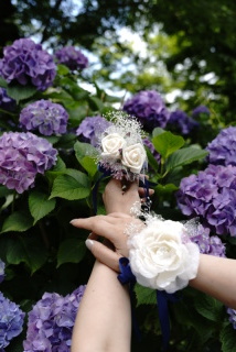 studio LUMINOUS お台場_アドバイス写真