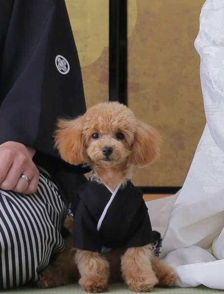 ペットと一緒に撮影できる！_24282_投稿写真_3