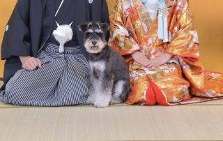 華雅苑　千葉店_アドバイス写真