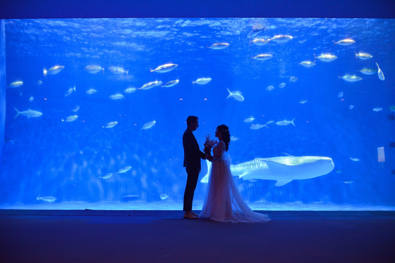 STUDIO CANVAS_投稿写真